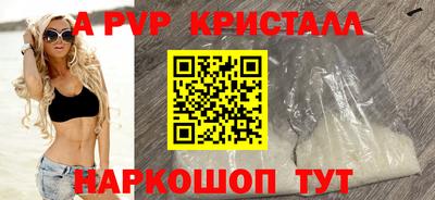 эйфоретик Кингисепп