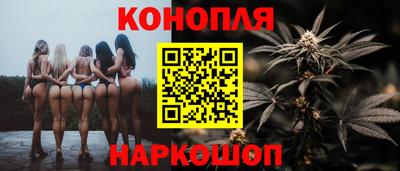 эйфоретик Кингисепп