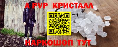 эйфоретик Кингисепп