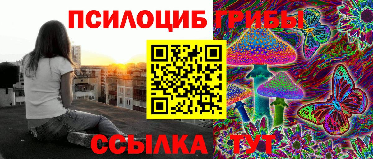 Галлюциногенные грибы мицелий Кинель